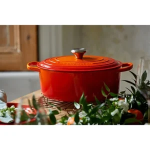 Le Creuset Cocotte Fonte Ovale Volcanique 27 Cm 12