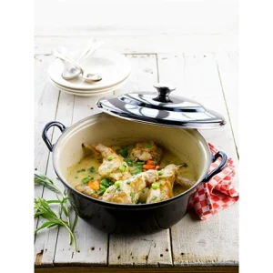 Le Creuset Cocotte Fonte Ronde Plume 24 Cm 2,4 L Noir 13